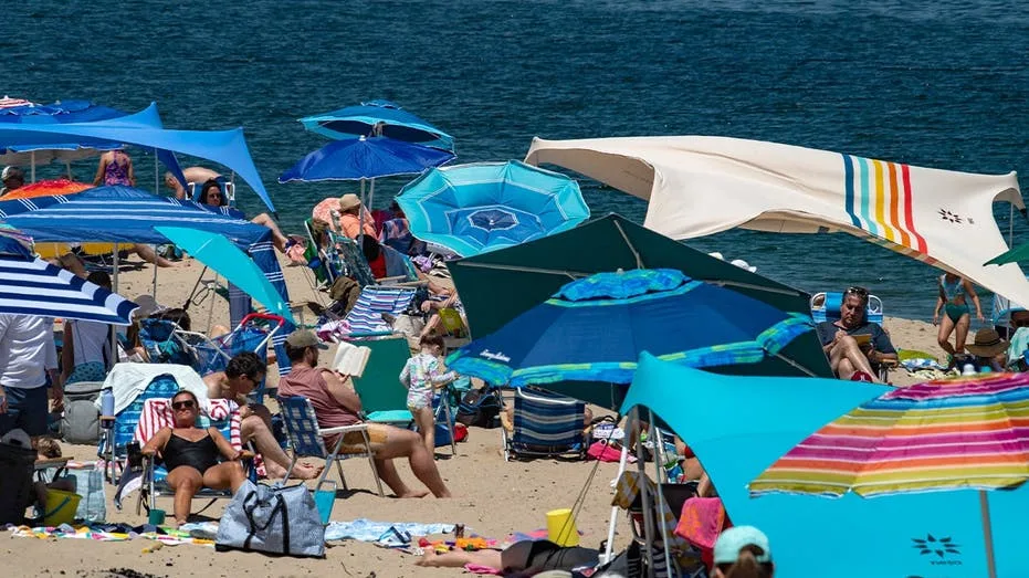 Cape Cod Navigates Booming Tourism and Great White Shark Presence with New Ecotourism Model